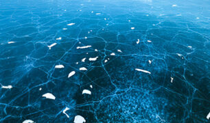 Stabilization of Commercial Data Ecosystem