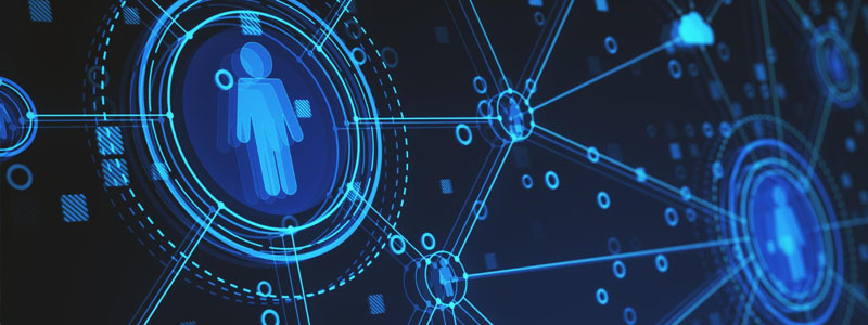 Users: the Often Overlooked Factor in AI Security