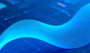 Digital Maturity Assessment and Strategy for an Animal Health Leader